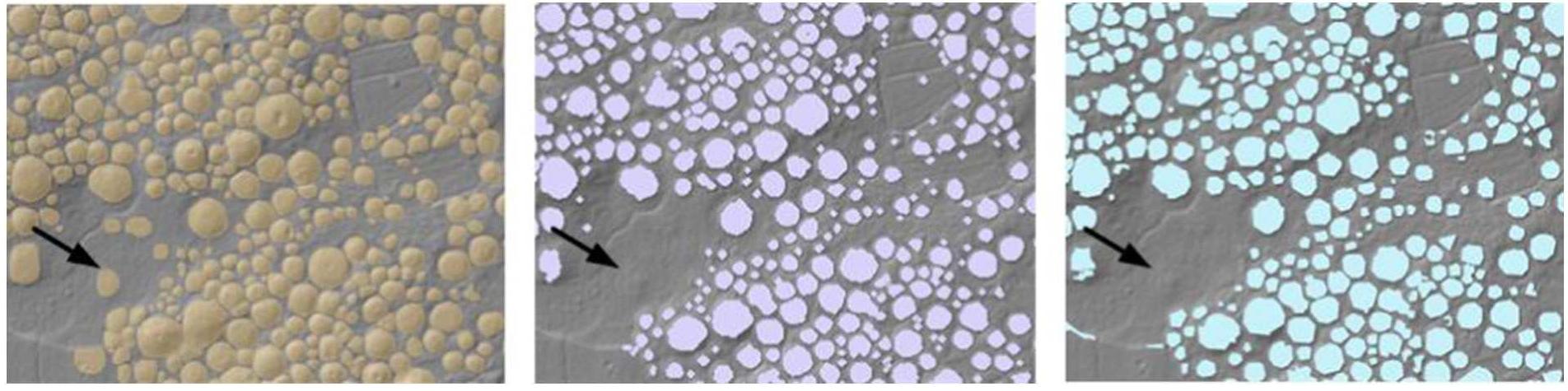 Fig. 9. Detail of the classification results; manual (left), object-based (middle), pixel-based (right). (For interpretation of the references to color in this figure legend, the reader is referred to the web version of this article.) 