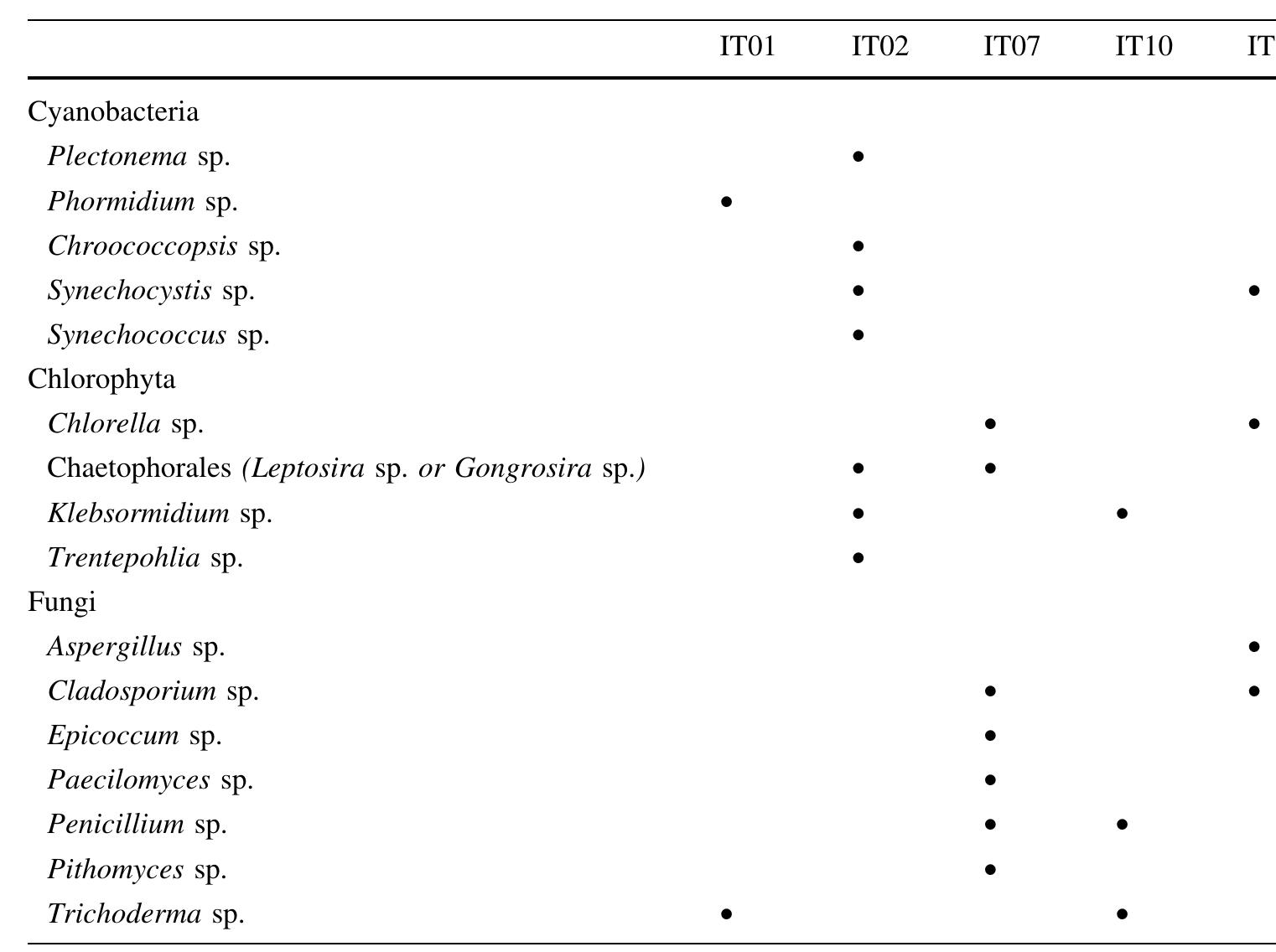 represented by the phytadiene peaks (br17), etc. The detection of benzonitriles (A8, A1l2 and A14), along with the detection of compounds directly derived from peptidic  material confirms the significant presence of proteins in the studied films (Saiz-Jimenez et al. 1990, 1995).  typically synthesised by living organisms (Saiz-Jimenez 1995).  Lipids are represented in the desorption products by aliphatic hydrocarbons, fatty acids, carotenoids and ste-  roids. N-alkanes and n-alkenes in the range  Cio—-C19 were  minor compounds in the evaporate and showed an increasing in the pyrolysis at 500°C. Phytadienes are thermal degradation products from chlorophylls (Saiz-  Jimenez et al. 1990) and their presence cou contribution of algae, which is in fair agree  d indicate the ment with the  relatively important presence of heptadecane, a predomi-  nant constituent of most cyanobacteria and 1969; Gelpi et al. 1970).  algae (Jones  In this type of pyrolysis, there is an abundance of aromatic hydrocarbons and phenols (see peaks A4—A15 in Fig. 12b). Benzene derivatives (A4—-A6) and phenols (A7, A9, A10) were related to pyrolysis of amino acids (Saiz-Jimenez et al. 1990; Moldoveanu 2010). Polycyclic aromatic hydrocarbons (PAH) were also identified (A1: dimethylnaphthalene; A2: dibenzo[a,cJanthracene; A3: triphenylene-2-carbonitrile; All: naphthalene; A15: flu- orene). They could be anthropogenic compounds derived from incomplete combustion of organic matter (Schiavon et al. 1995) and have been identified, amongst other sources, in smoke particles from plant burning (Standley and Simoneit 1987) and diesel or gasoline engine soot (Yu and Hites 1981). However, some aromatic structures (i.e. benzene, toluene, phenol, benzonitrile, naphthalene and fluorene) were produced in the pyrolysis of 5-amino- isophthalic acid, the two latter compounds denoting condensation reactions from single rings (Moldoveanu 2010), a reaction that cannot be ruled out in our case. To summarise, the data obtained from analytical pyrolysis indicate that the main sources of organic matter in the black films are biogenic, particularly reflecting a cyanobacterial and algae origin, and is compatible with  the pyrolysis of lichen thalli, as described by Saiz- Timenez7 et al. (1991).  