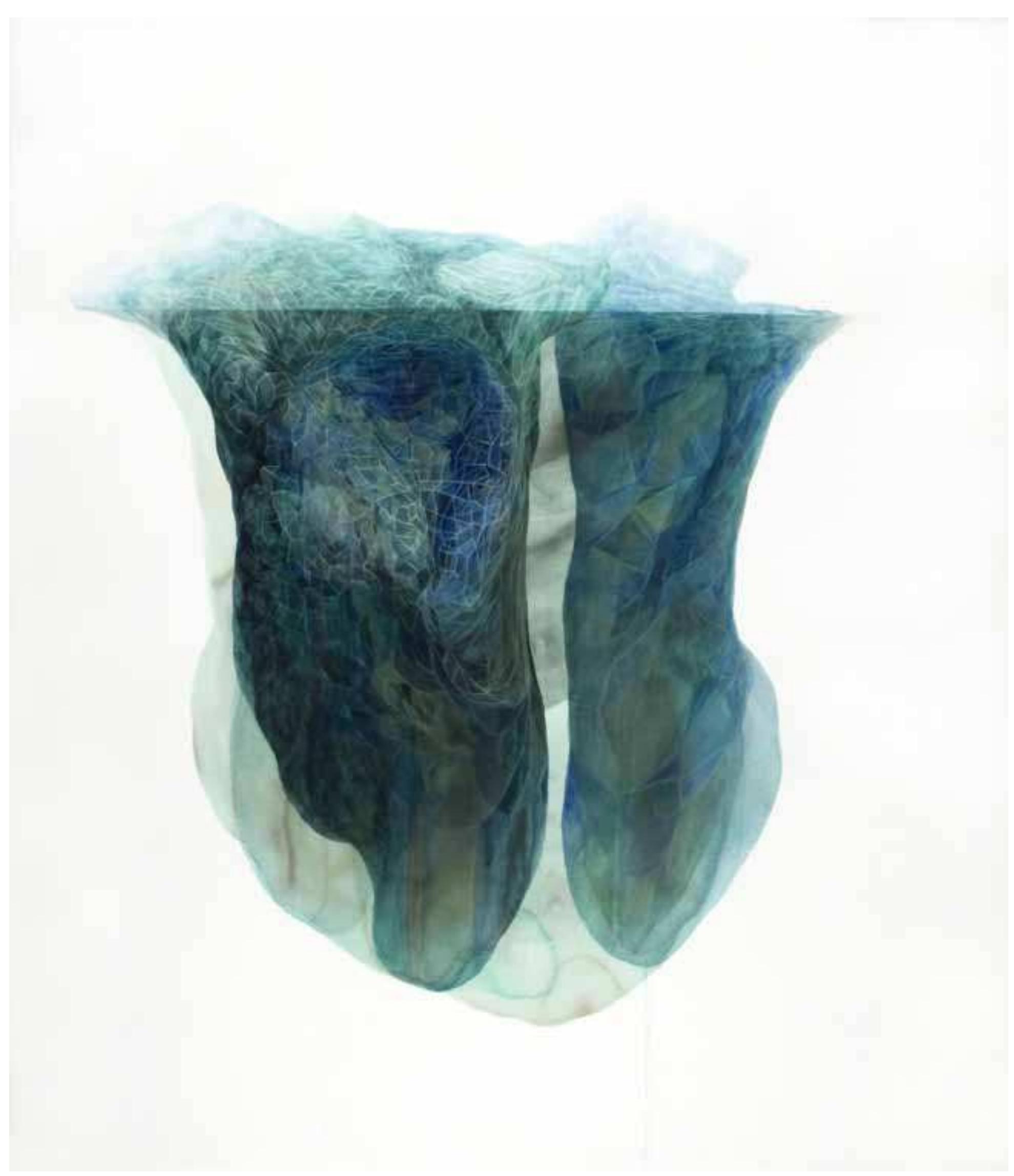Melted 4 (2008), one in a series of watercolors called Extremities, the artist reveals the formation beneath the waterline, making palpable the fact that the tip of the iceberg represents only one-eighth of its volume (fig. 40). Camlin presents a cross section of its inner core through a network of geometry that suggests  the crystalline nature of freezing water.  FIGURE 40  Cynthia Camlin, Melted 4, 2008, watercolor and acrylic on paper. 