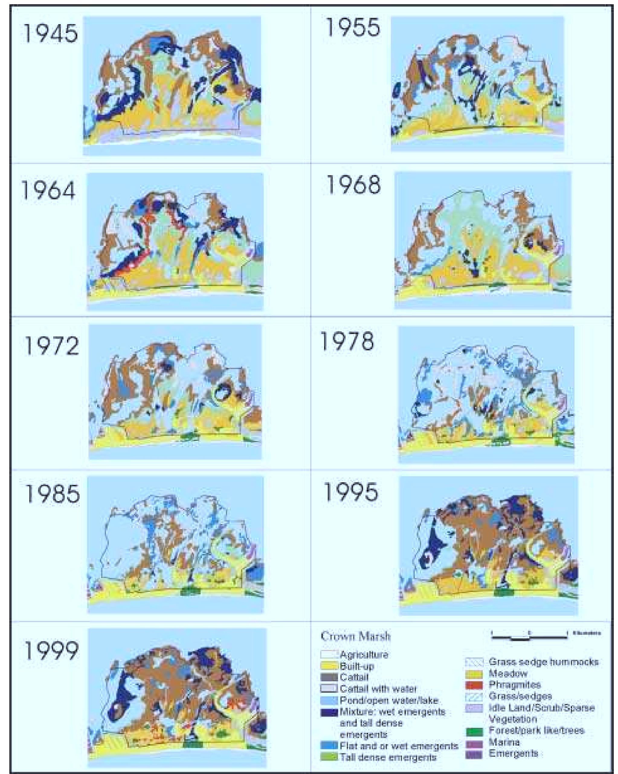 FIG.3. Phragmites australis distribution in the Crown Marsh, Long Point, Lake Erie, 1945-99. 