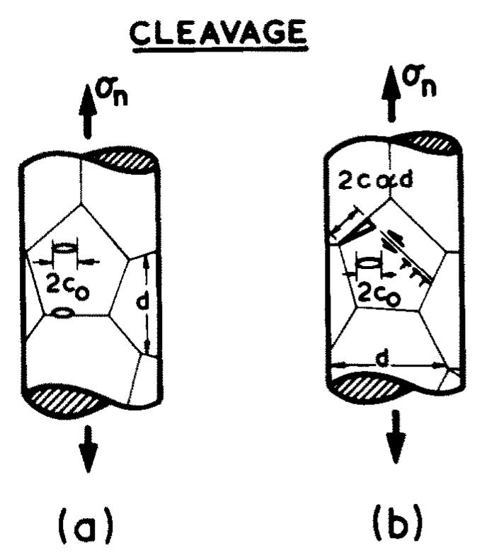 Fig. 2. (a) Brittle solids contain incipient cracks of length  2cp. (b) Cracks can be generated by slip. Their length,  2c. often scales as the grain size. Either sort of crack may propagate to give a cleavage fracture. 
