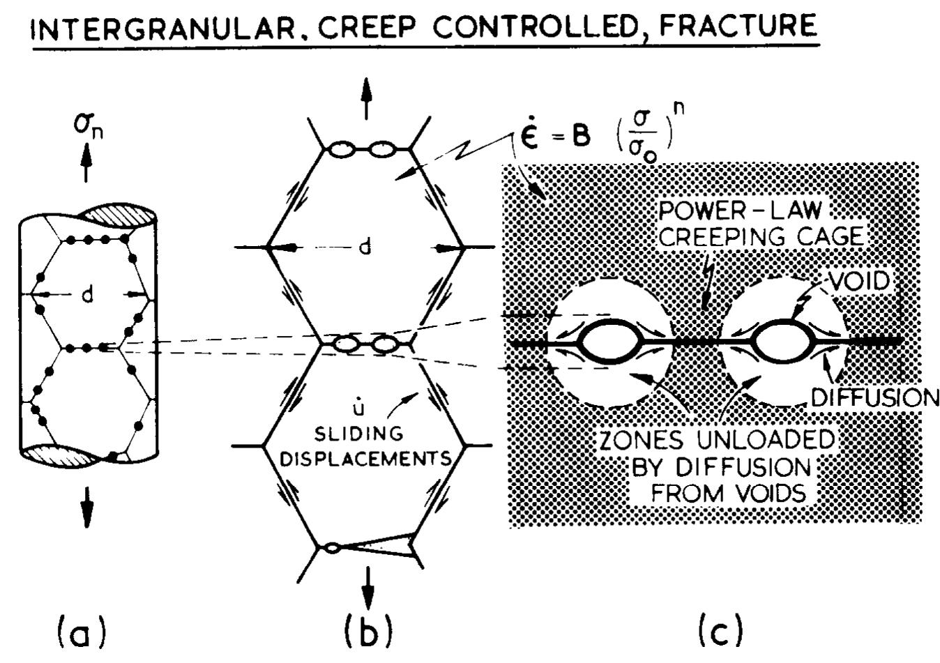 Fig. 4. (a) Grain boundary sliding stimulates the nucleation of grain and (b) boundary voids. (c) The voids grow by diffusion, but the diffusion fields of neighbouring voids do not, in general, overlap, so that each void is contained within a cage of power-law creeping material. 