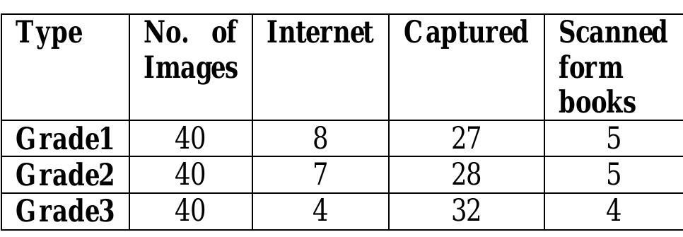 B. IMAGE CLASSIFICATION 