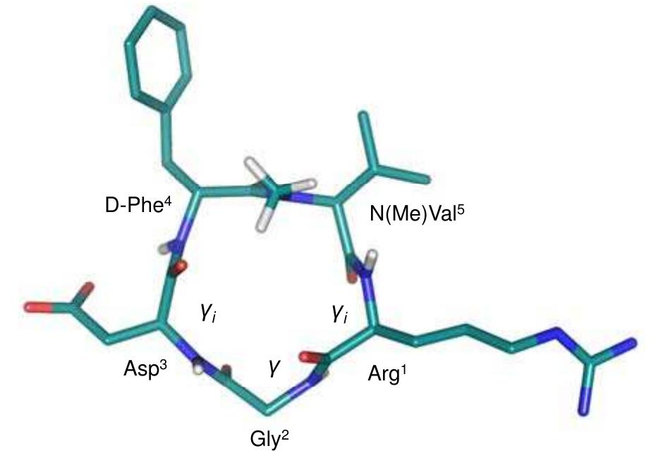 Fig. (6). Three-dimensional structure of Cilengitide obtained by NMR and MD calculations. For clarity only the protons from the N-methyl group and the amide bonds are shown. The different turns observed are indicated. 
