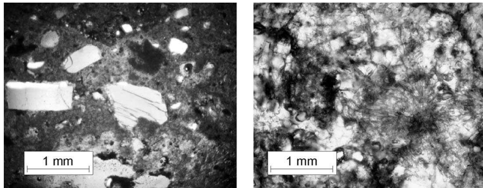 Fig. 4. (a) Plane light images of Tomba della Sirena rock showing K-feldspar and clinopyroxene phenocrysts; (b) plane light images of zeolites 