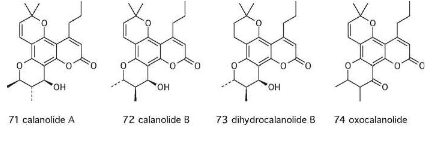 transcriptase inhibitors. The clinical development of calanolide A startec in 1997. The compound is now obtained by synthesis and is currently in Phase IJ trials focussed on evaluation of its long-term activity in combina. tion with other anti-HIV agents. Calanolide B (costatolide), dihydrocala- nolide B (73) and oxocalanolide (74) are in preclinical development [95] Calanolides A and B were also found to be active against Mycobacteriun tuberculosis [100]. This property is unique among antiviral agents anc could be of great value for the treatment of patients infected with both HIV and tuberculosis [23]. Tuberculosis has become the first opportunistic infection affecting HIV-infected people in developing countries. 