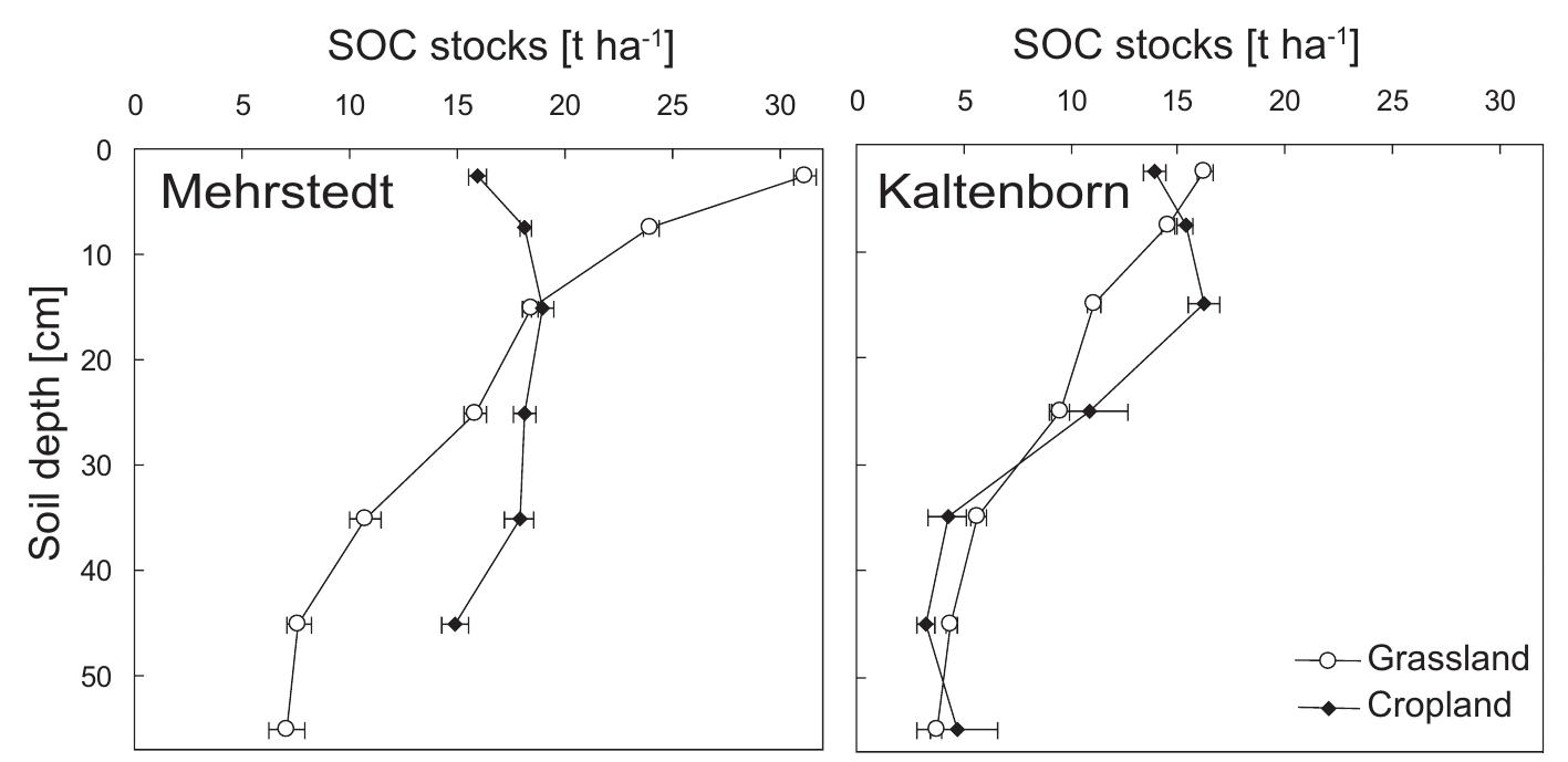 Figure 4: Profiles of the soil organic carbon stocks of the grassland and the cropland at the sites  77% (Mehrstedt) and 70% (Kaltenborn) of soil C was stabilised by adsorption on mineral  stabilisation of C in aggregates compared to the free light fraction. 16% (Mehrstedt) and 25%  nteractions includes ligand exchange, polyvalent cation bridges, weak interactions and 