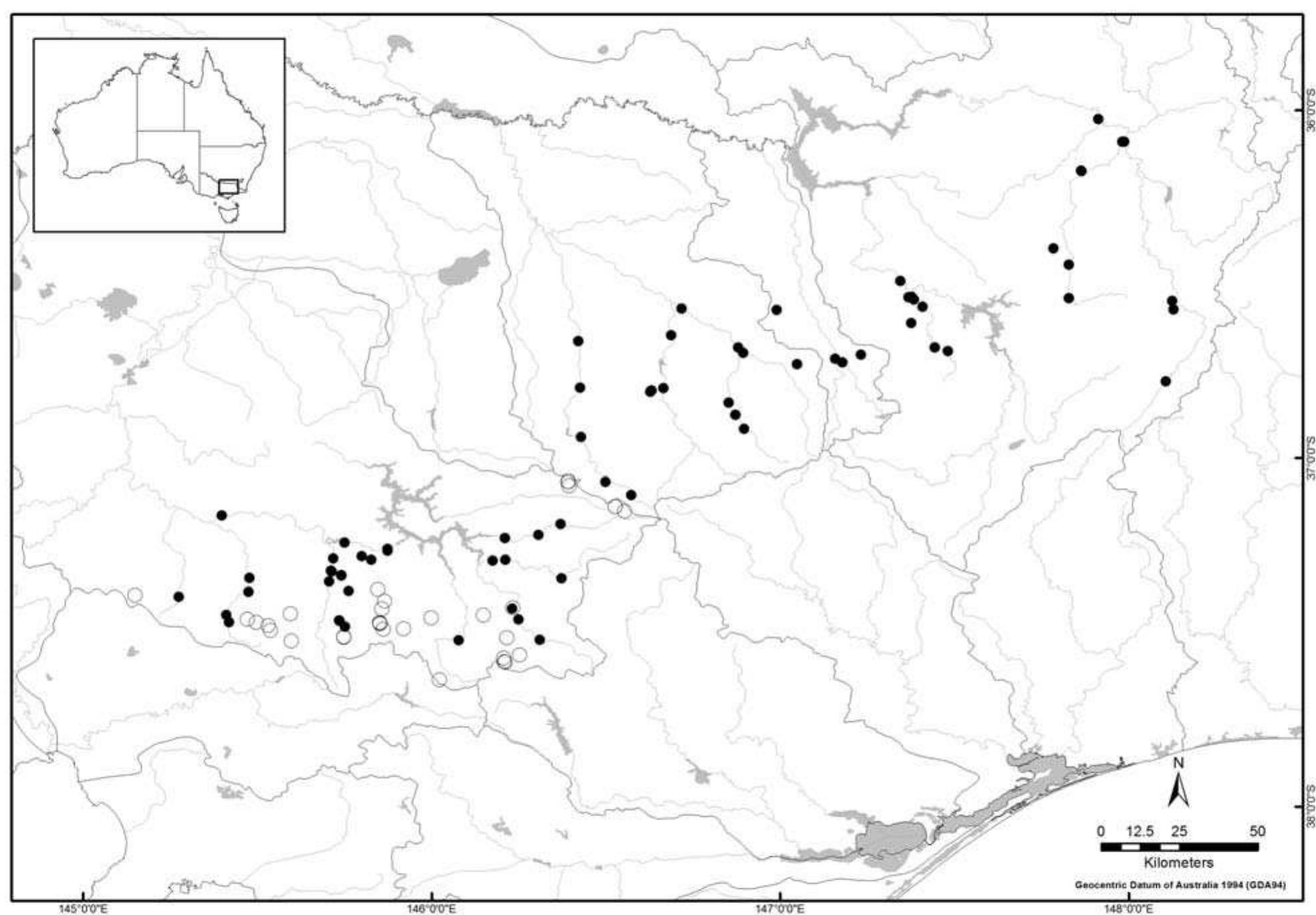 FIGURE 11. Distribution of Galaxias arcanus sp. nov. (black circles) and Galaxias fuscus (open circles). (river basins shown—refer to Fig. 1).  Genetics. Allozyme and mtDNA analysis of this species can be found in Adams ef al. (2014; taxon code RF). Diagnostic allozyme loci (6-13) between this taxon and the other species in the Galaxias olidus complex are provided in Table 12. Two genetically distinct subpopulations were identified, with fish in the Goulburn River basin differing by one diagnostic allozyme locus from those in the Upper Murray to the Ovens River basins (Raadik 2011). Morphological variation between these subpopulations was not investigated. 