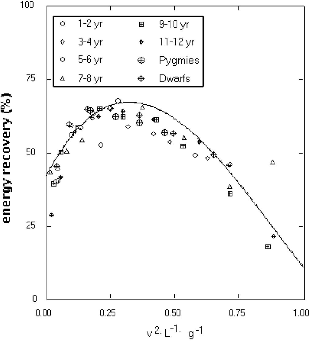 Fig. 10 Percentage recovery of mechanical energy in walking as a function of the equivalent speed (Fr number) for children of different ages (Cavagna et_al. 1983), for Pygmies (Minetti et_al. 1994a) and dwarfs (Minetti et al. 2000b)   Not only size but also m, and weight can affect lo- comotion. When a load is carried by a subject close to his centre of m, the energy expended and the work performed increase in proportion to the extra weight (Taylor et al. 1980). This is more true in walking than in running where Wpx7 increases only half as much as expected. In addition mass-specific Wyyr7 is unaffected by load both for walking and running (Minetti and  
