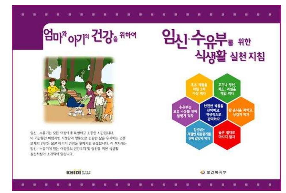Figure 2. Dietary action guide booklet for pregnant and lactating women 