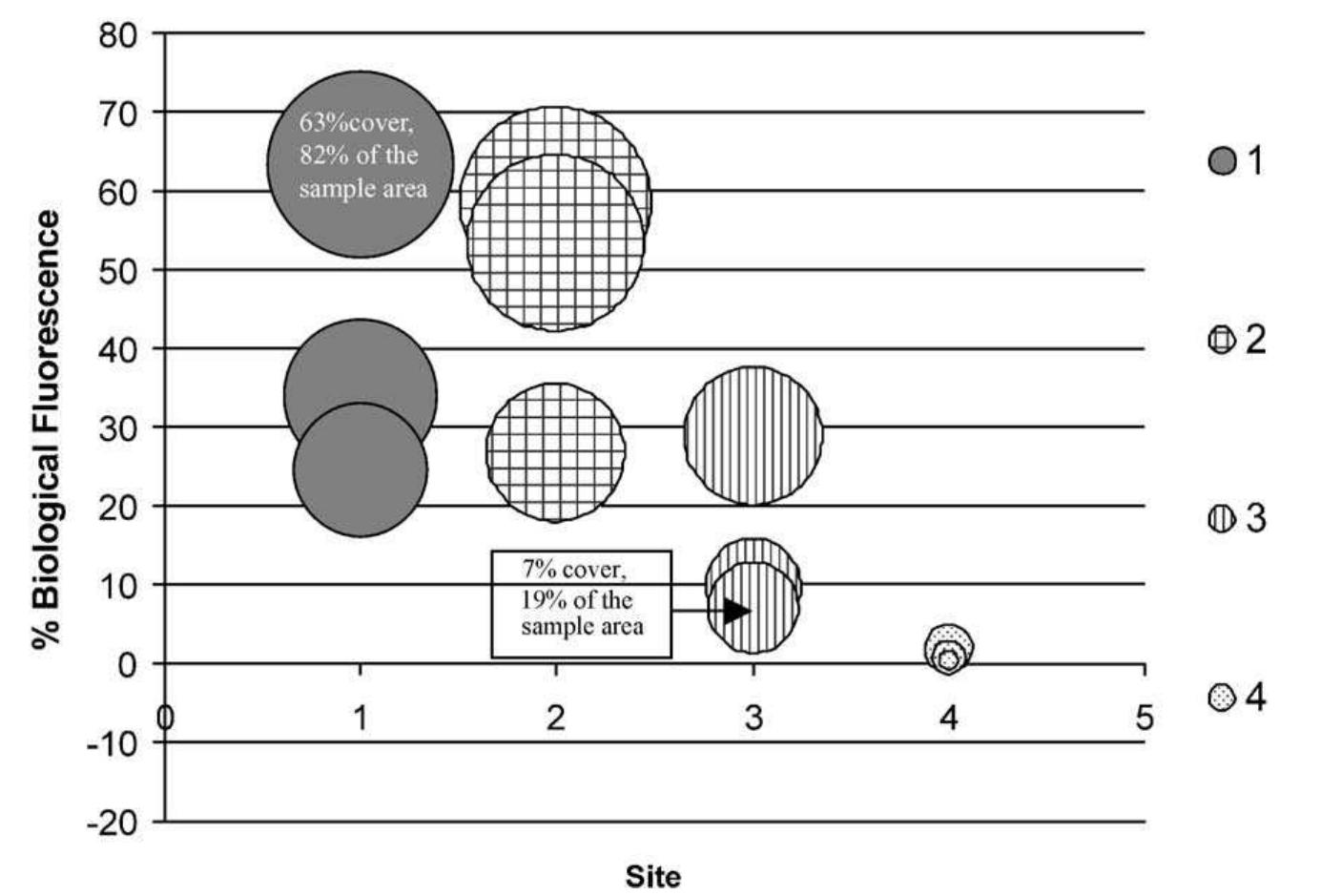 SEM and combined MPLSM and CLSM analyses. Analysis of biological fluorescence data revealed significant differences in blue-green biological fluo- rescence between control, sheltered and exposed samples (Fig. 6). Fig. 6 accounts for the combined importance of both the area and intensity of fluo-  The biological fluorescence results provide an  indication of the types of quantitative data which can be derived from combined MPLSM and CLSM techniques and illustrate the differences between  Fig. 6. Biological fluorescence percent cover values for each site and control sample scan. Percent cover bubbles were sized by fluorescen intensity ratio values where Site 4 represents the control samples. 