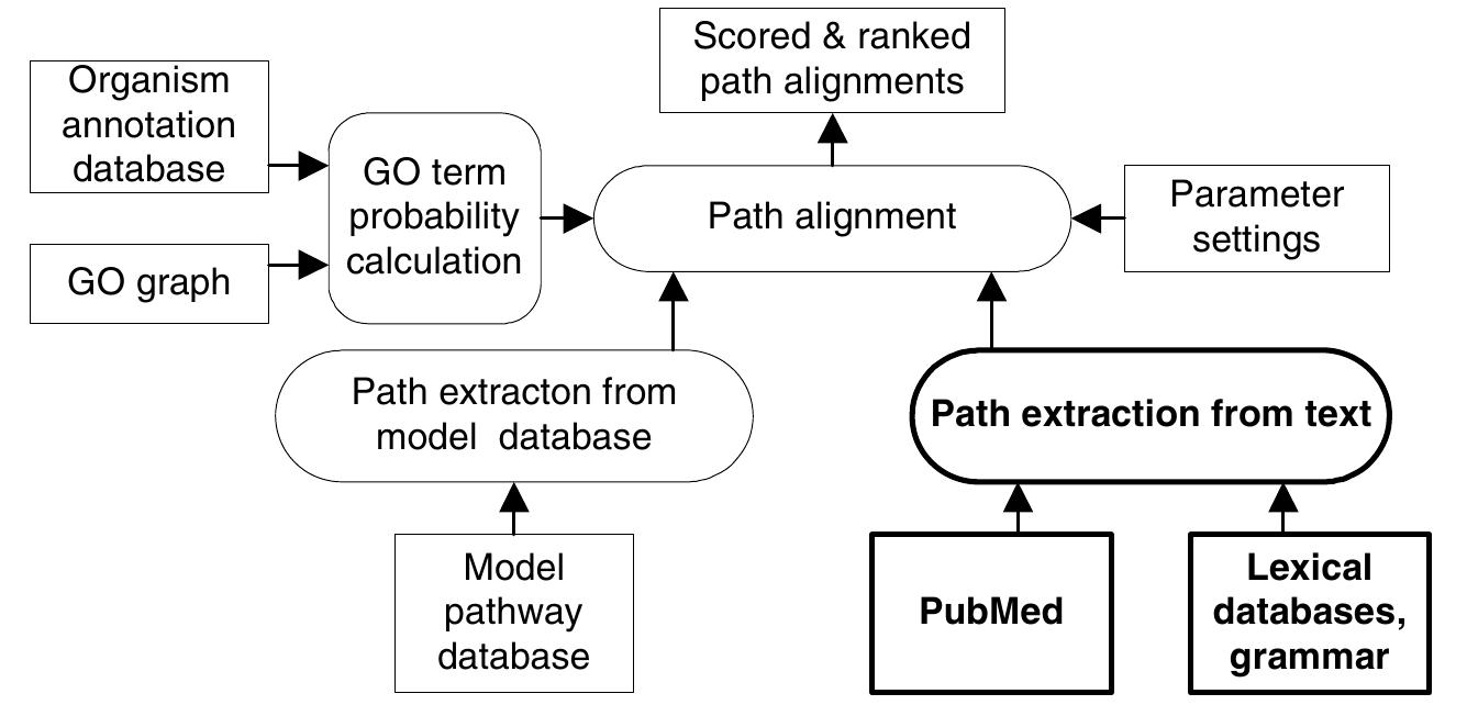 In our research, we want to investigate to which extent a system relying mostly o1 seneral linguistic knowledge, and to a minimal degree on specialized ontologies cat ye successful in extracting relations from biological texts. We recently proposed « srammar-based method for extraction of biological relations from scientific texts [23. 26]. The method uses an algorithm that searches through the syntactic trees producec y a linguistic parser, identifies relations mentioned in the sentence, and classifie: hem with respect to their semantic class and epistemic status (facts, counterfactuals xr hypotheses). The semantic categories used in the classification are based on the elation set used in KEGG, so that pathway maps following the same notational con. vention as KEGG can be automatically generated, and even other relations involvins ological objects (coocurrence, part-whole relations) may be extracted. Subse juently, we added several extensions and improvements of the method, such as at mproved named entity recognition component and the addition of a method for dis. inguishing between text describing previous and current work, thereby making i sossible to avoid extracting relations from text sections which merely report finding: rom previous work or common knowledge, rather than new findings [27].  In our work, we consider text analysis as a method to extract candidate pathways, which must be further evaluated for biological plausibility. As shown in Figure 1, a set of candidate pathways is extracted from a corpus consisting of a set of selected biomedical articles from PubMed, which allows the user to find all articles containing particular words or combinations of words. The text analysis process uses lexical databases and a grammar to achieve sufficient comprehension of the text for high- precision extraction of pathways corresponding to the textual description. However, even if the candidate pathways extracted by our approach are generally correct with respect to the text (as demonstrated in [24] and [27]), not all of them are necessarily biologically plausible. Therefore, each candidate is evaluated by alignment to and comparison with currently known pathways collected from KEGG and other model databases. As described in detail in [28] the plausibility score is derived by calculat- ing the semantic similarity between the set of gene products that have been paired in 