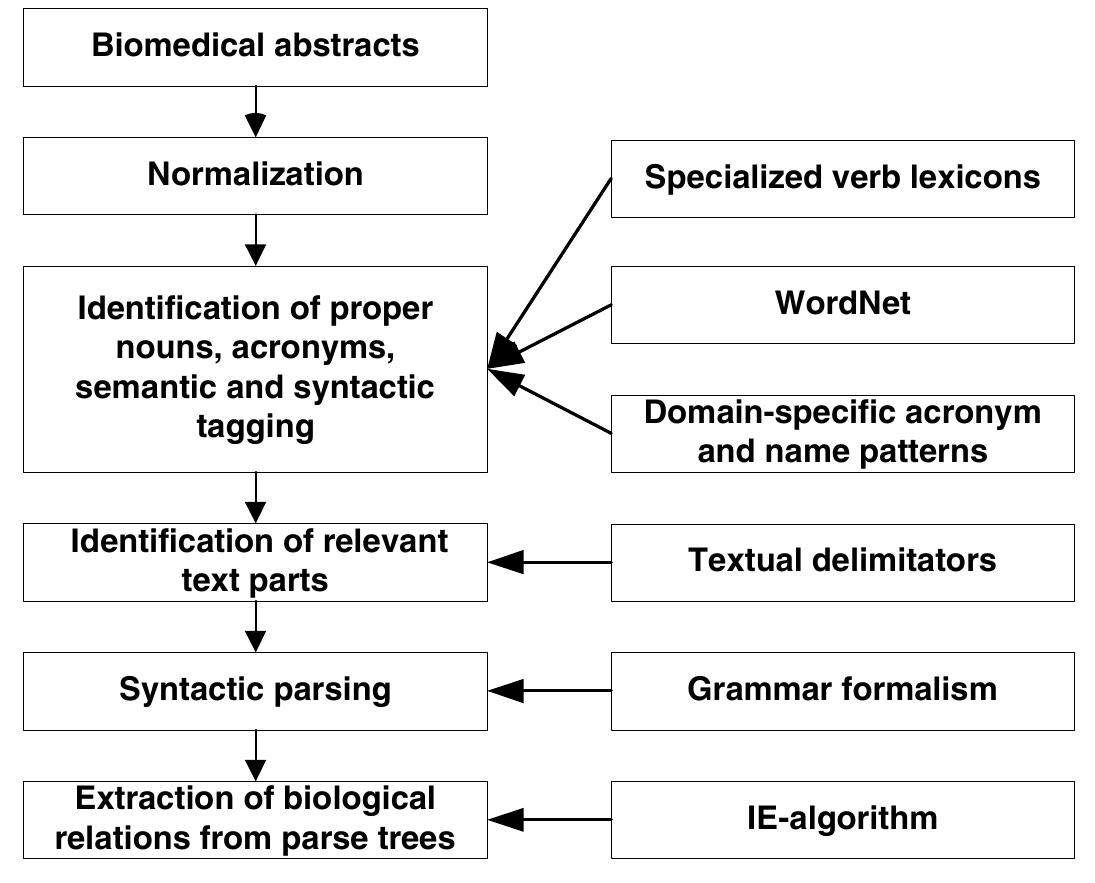 2 Named Entity Recognition and Tagging — Domain Adaptation and Testing  Since the precondition for in-depth syntactic and semantic text analysis is appropriate tagging, we started by domain-oriented training and development of the Named Entity Identification (NER) procedure and the semantico-syntactic tagger. The original NER-algorithm and the tagger had been developed for the purpose of processing news reports [29, 30]. The tagger utilized parts of WordNet (version 1.6 [31]), a list of frequent closed-class words and an internally developed lexicon of verbs denoting  the alignment, using the Gene Ontology structured vocabulary of annotation term By this technique it is possible to identify similarities between gene products thi have annotations that seem to differ at a surface-level comparison, but which actuall perform highly similar molecular functions or participate in similar biological proc esses. Using the derived plausibility scores, the candidate pathways are ranked so th: the biologist using the system can select the most biologically relevant pathways thi have been derived by the text analysis module. For details on the evaluation of cand date pathways, the reader is referred to [28]. Figure 2 shows the detailed architectur of the text processing system aimed at path extraction.  The syntactic analysis and the algorithm deriving KEGG-like pathways from syr 