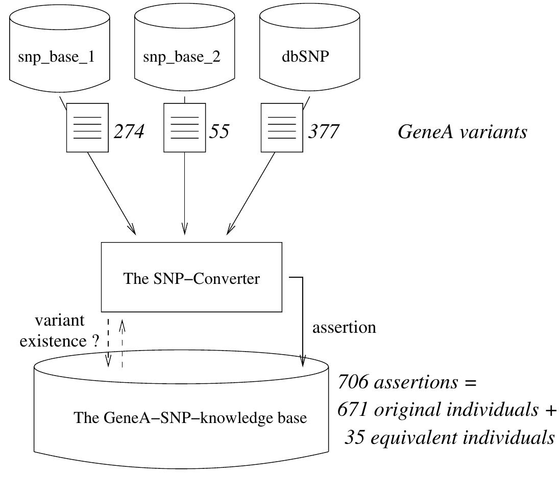 Figure 4 also shows the result of an experience carried on variants of a specific gene (named here geneA). Three sets of data were processed by the SNP-Converter application : 274 and 55 variants from private databases snp_base_| and snp_base_2 respectively, and 377 variants from dbSNP. Among the 706 assertions created by the wrapper, 671 could be qualified as original individuals, and 35 were found equivalent to existing individuals. 