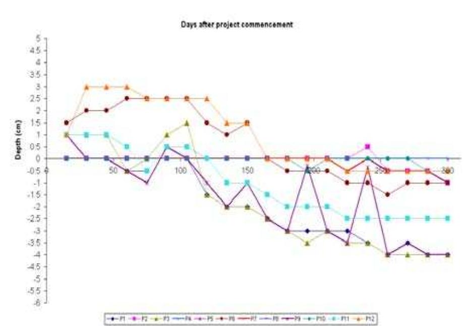 Fig. 5: Soil surface subsidence. 