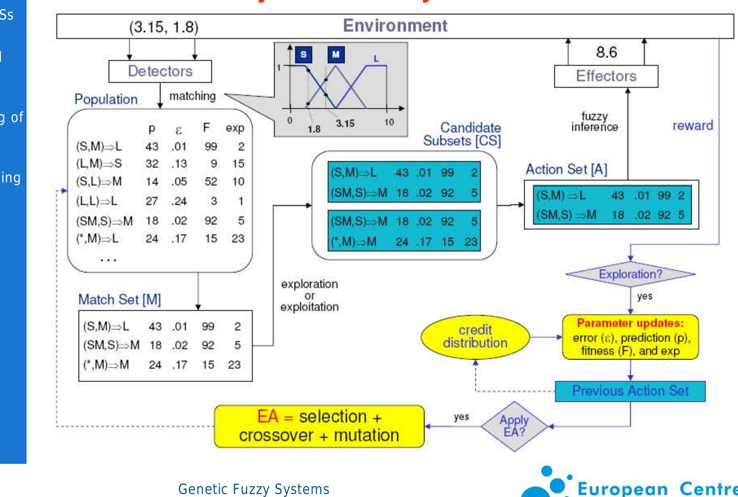 Accuracy-based Fuzzy XCS structure 