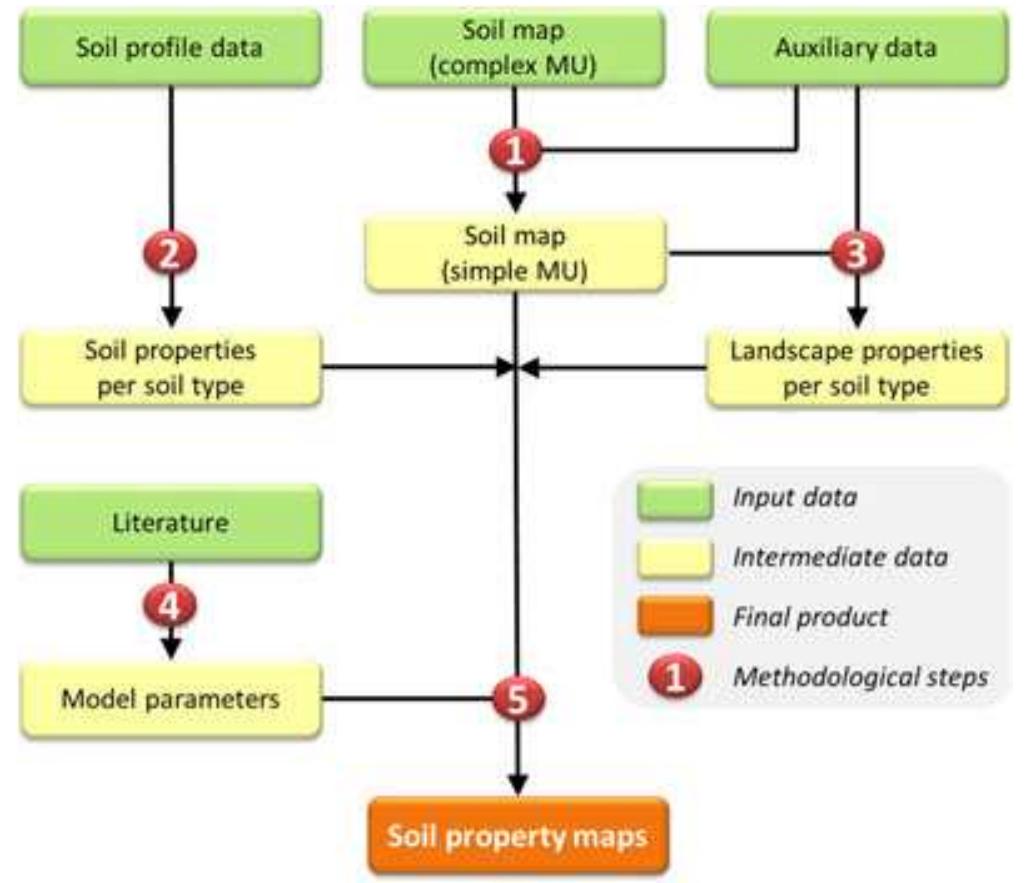 Figure 1. The conceptual model of S-World with its 5 main steps. This fig- ure is available in colour online at wileyonlinelibrary.com/journal/Idr 