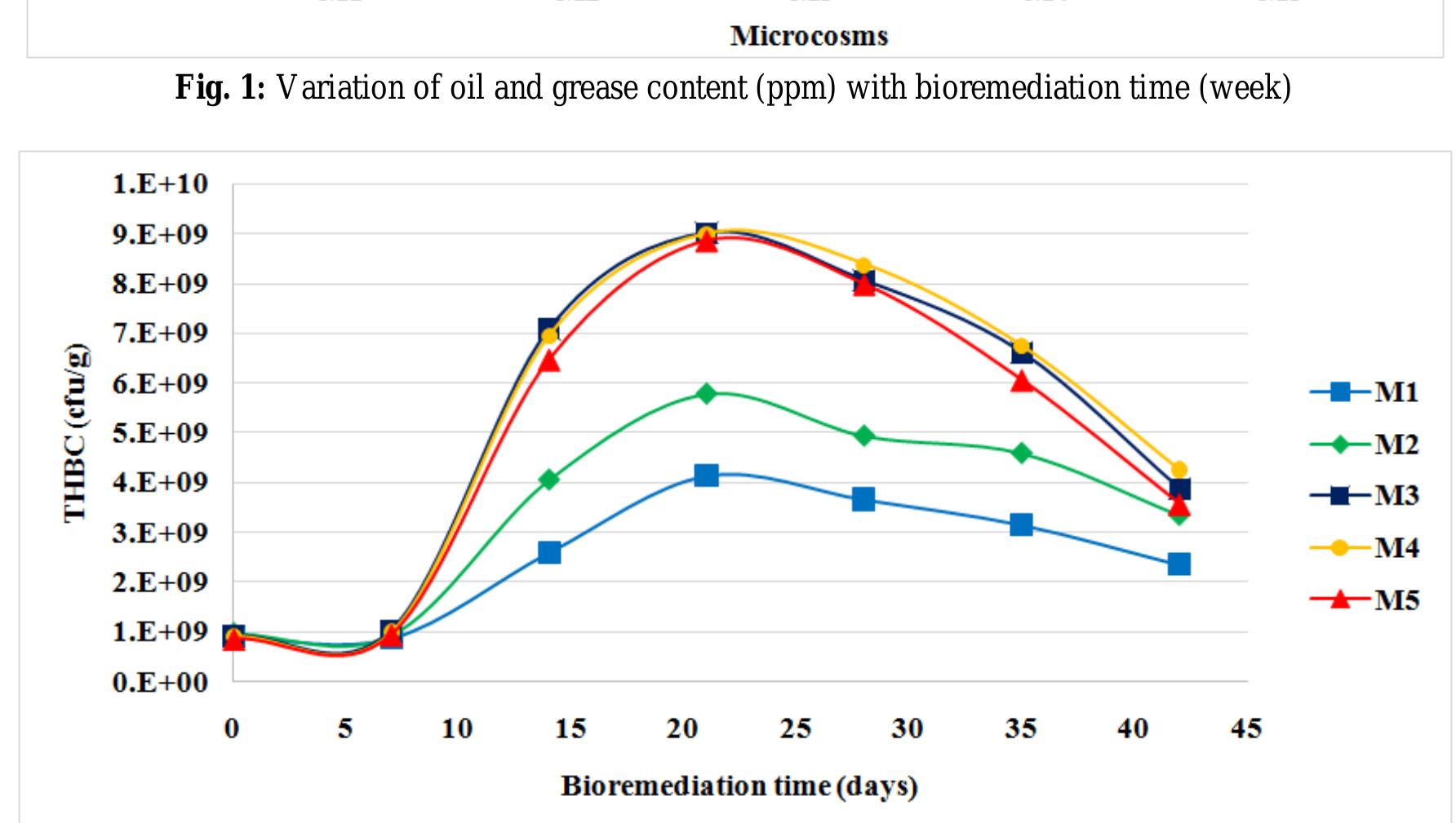 Fig. 2: Variation of total heterotrophic bacteria count (THBC) with bioremediation time.  3.5Bioremediation kinetic studies  To investigate the biodegradation process of the hydrocarbon present in the microcosms, first, second and shift order kinetic models were used to estimate the biodegradation constant and half-life so as to compare the effectiveness of the stimulants in enhancing the degradation of hydrocarbon in the microcosms.(4) and(5) gives the first and second order kinetic model expressions while(6) and(7) gives the expressions for calculating the half-life (t,/2) in days, of the biodegradation process In Cogc, = —kyt + In Cogco (4) 