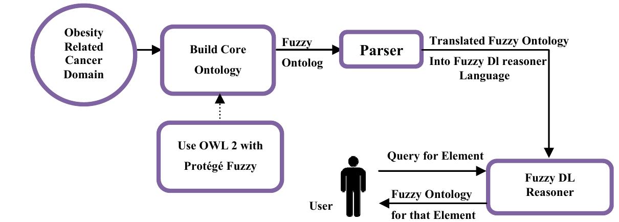 Figure 2 The proposed framework for building the fuzzy ontology of ORC domain (see online version for colours)  We constructed our work in three main phases. First, we built the typical ontology by using Protégé 4.3 to allow reasoning using standard ontology reasoners, validation, and evaluation. The output of this phase is a validated ontology for obesity-related cancer with no fuzzy. Second, we represented the fuzzy data types and overlapping concepts by using OWL2 and fuzzy annotation properties through FuzzyOWL2 plug-in (Bobillo and Straccia, 2011). Finally, we reasoned with/ queried the constructed fuzzy ontology using fuzzyDL. 