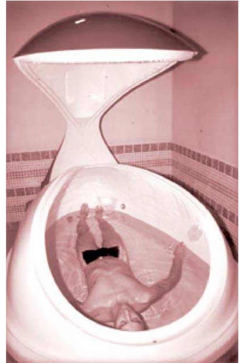 Samotar’s self-experiments in the isolation tank took place in the first half of the 1990s, which George H. W. Bush announced as the “Decade of the Brain.”*° Since then there has been much concern that the self and other aspects of our subjective lives are called into question by the neurosciences. In his preface to a collection of texts representative of the German debate about recent advances in the neurosciences, Christian Geyer articulated this growing disquiet about the illusory character of subjective experience:  recent advances in the neurosciences, Christian Geyer articulated this growing disquiet about the  4, The Contemporary Problematization of the Self 