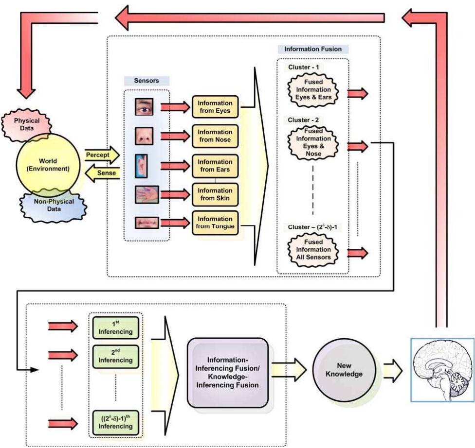 Fig. 3. Human Inference System (HIS) model as the basis for KGS[22] 