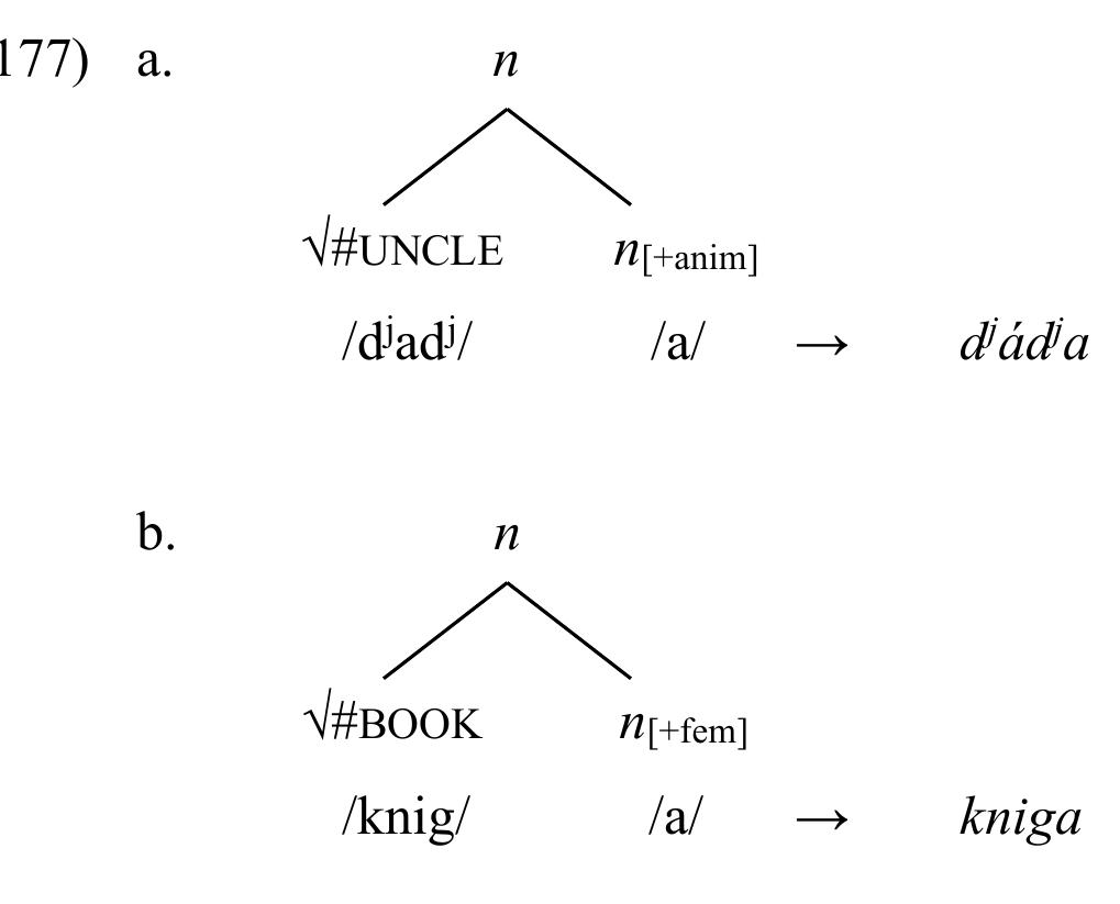 The major gain of our approach is that we end up having a systematic correspondence
 feminine noun kniga is the realization of an n[+feminine] head:
 between nominal endings and gender features, as summarized in (178).
