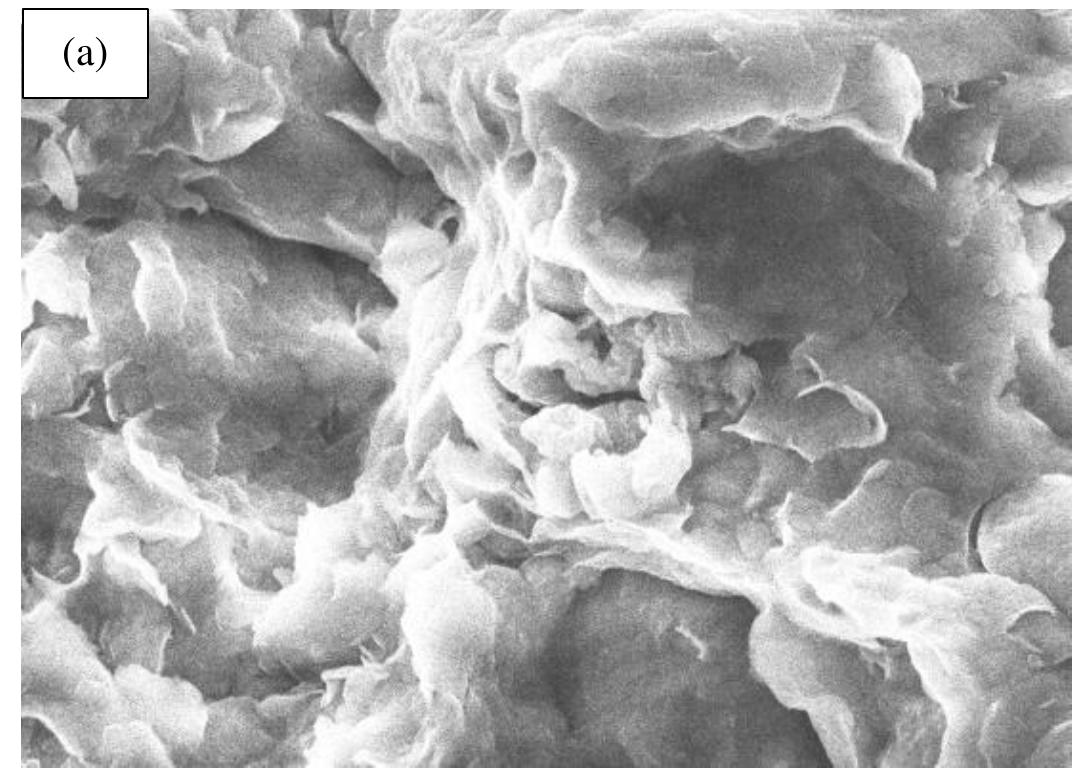 Figure. 6 shows the SEM images of clayey soils treated with xanthan gum. There is a direct linkage bridge betwe« xanthan gum and fine clay particles by hydrogen bonding it is because of the electrically charged clay particles. - addition, bridges are formed between distant particles in xanthan gum, enhancing particle alignment and improvir strength (Figure 6a). 
