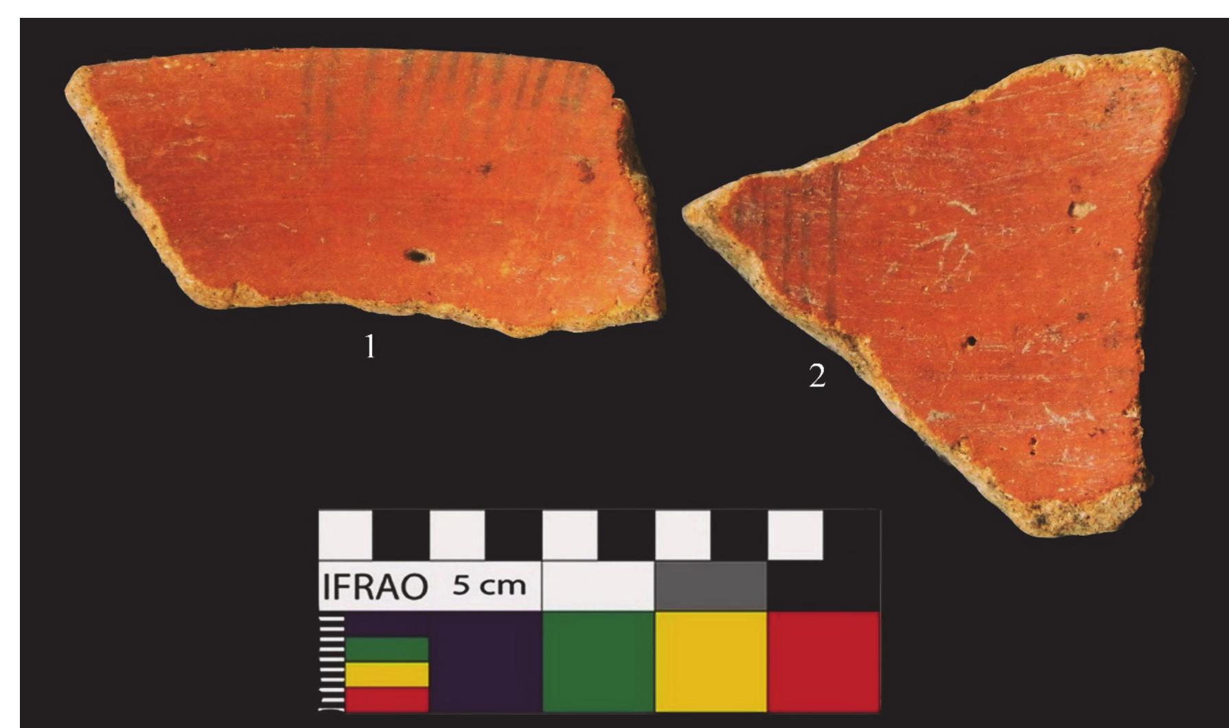 Figure 10: RSW with chocolate paintings on the inner surface of shape and sherd from Taraporegarh 