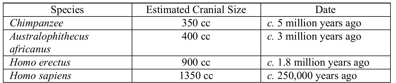 Table 1. Evolution of the Human Brain 