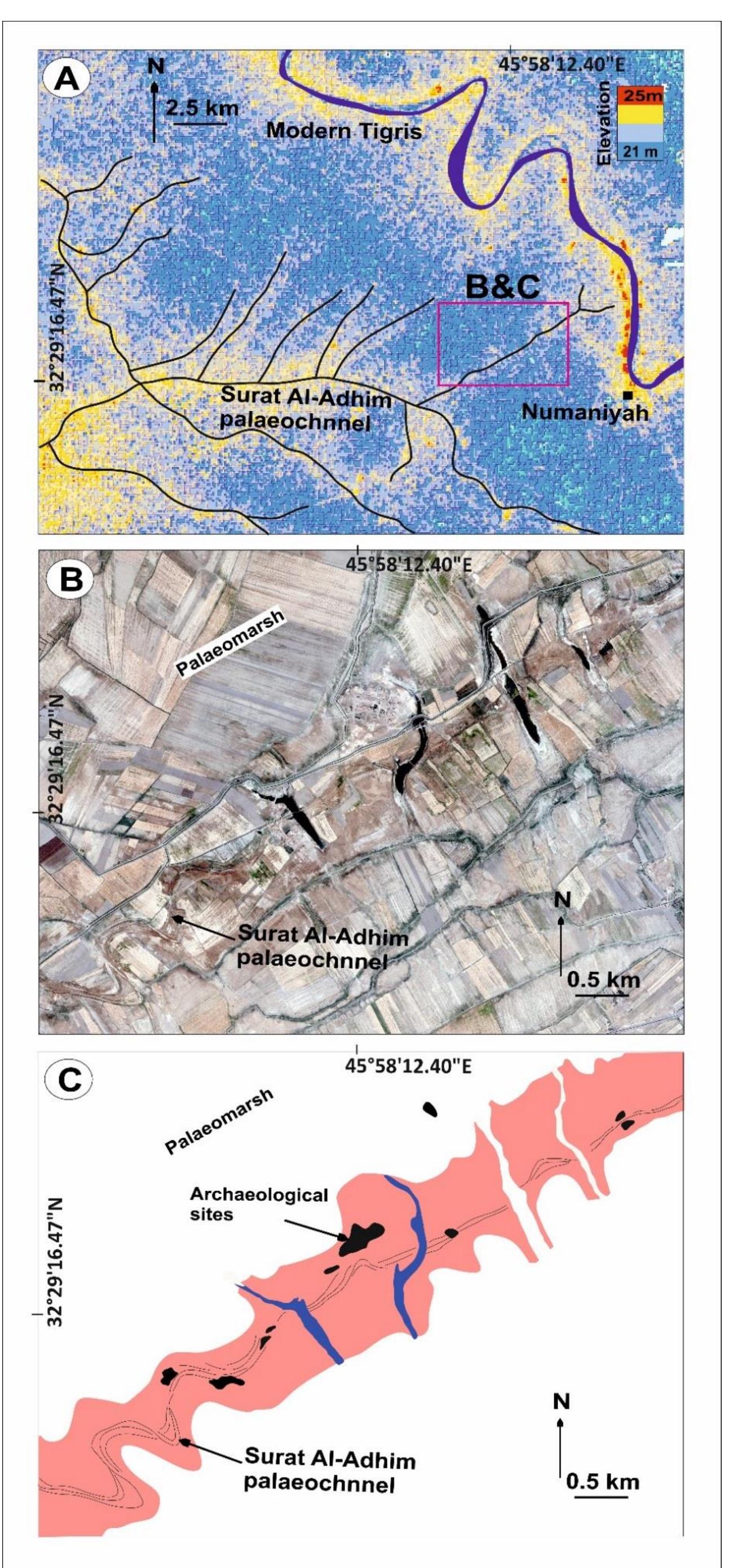 Figure 5.11: An example of baguette levee located to the north west of Kut showing how the relatively high elevated abandoned levee of the Surat Al-Adhim palaeochannel which was cut by the modern Tigris channel water. (A) SRTM map, (B) QuickBird image and (C) Sketch showing the identified feature in the A and B. 