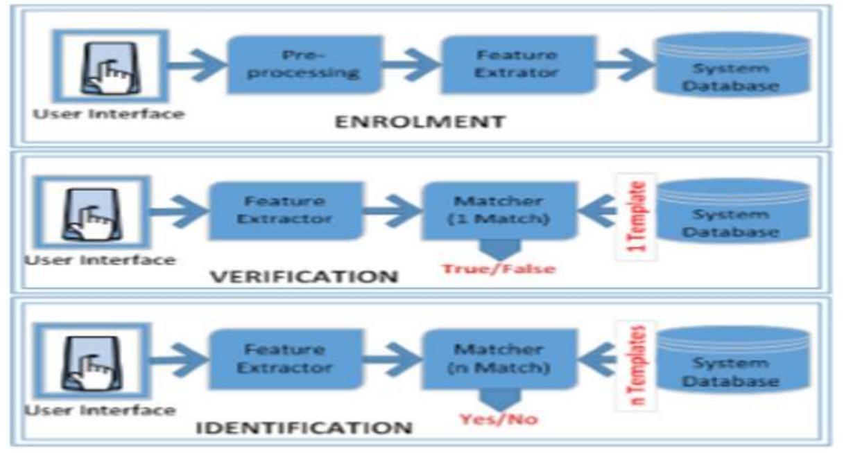Required factors are scanned, which produces a signal or an image. In order to enhance the efficiency of this procedure and minimize the noise in a data, images that are scanned directly are being pre-processed. The registered template includes vector data which is used for the matching stage. Identification and verification are used interchangeably in literature sometimes, but both are distinct in nature. Identification means carrying out a one-to-many relationship (matching), where a scanned input is run through the templates of the database to get a match. Verification on the other hand simply means mapping an initially scanned input with an input that was scanned previously, thus, containing a one-to-one relationship system.  i me hie) wae |e 