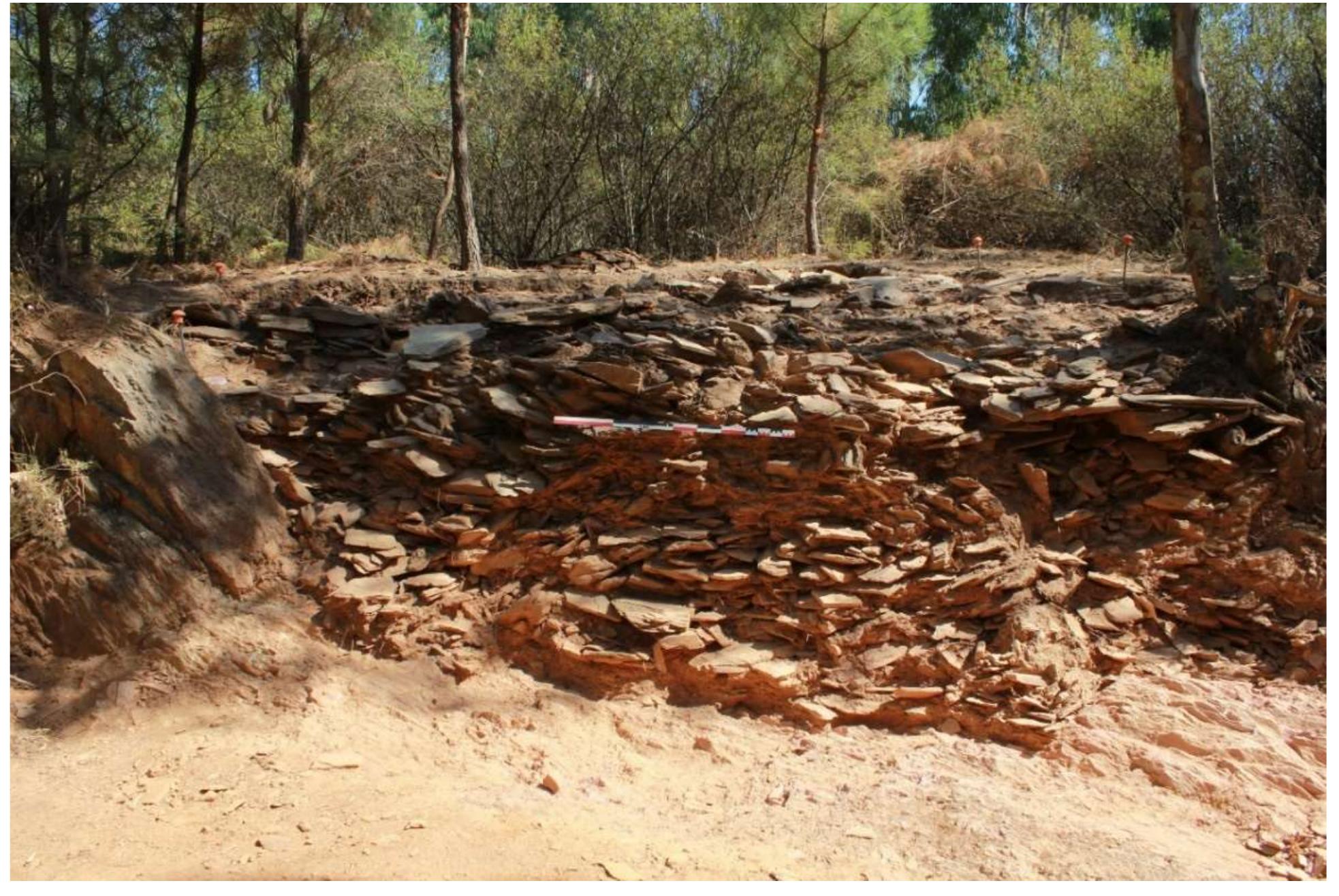 Figure 4.4 CVO, Sector 1 — The Cut  5.4 m across and 1.4 m in height. Ceramics forms typologically ascribable to the Late Bronze 