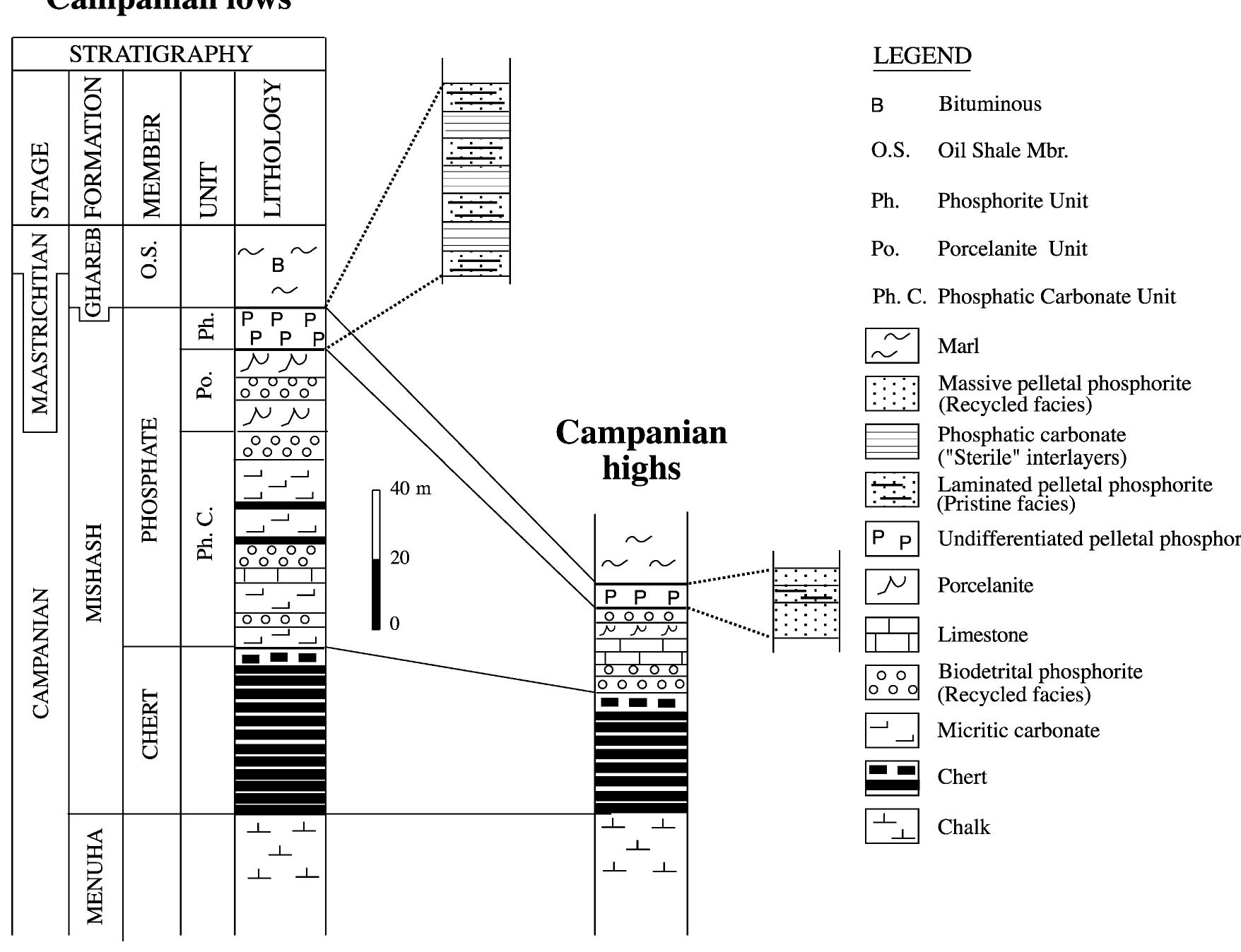Fig. 2. Schematic section of the Mishash Formation in Campanian lows and highs of the Negev and distribution of the various phosphate lithologies in the Phosphate Member.  equivalent to the Amman Formation in Jordan (Jallad et al., 1989), the Duwi Phosphate Formation in Egypt (ssawi, 1989), and the Sawwaneh Formation in Syria (Al-Maleh and Mouty, 1994), which all contain abun- dant phosphorites. Various organically derived rocks including cherts, porcelanites, and micritic carbonates, are associated with phosphorites in the phosphate- bearing interval of Israel and the neighboring coun- tries. The high productivity regime which led to the formation of these rocks was due to an extensive upwelling which prevailed along the southeastern margins of the Tethys during the Late Cretaceous and produced a high accumulation of organic matter over most of the area. In the Negev, phosphorite rocks are distributed throughout the Phosphate Member. However, they are more abundant in the top part of this member (the Phosphorite Unit), where they form   The Negev phosphorites occur in the upper part (the Phosphate Member) of the Mishash Formation (Fig. 2)—a shallow marine and high productivity sediment-suite of Late Campanian to Early Maastrich- tian age. The Mishash Phosphate Member in the Negev (Soudry et al., 1985) is more or less time-  2. Stratigraphic setting and Negev phosphorite facies 