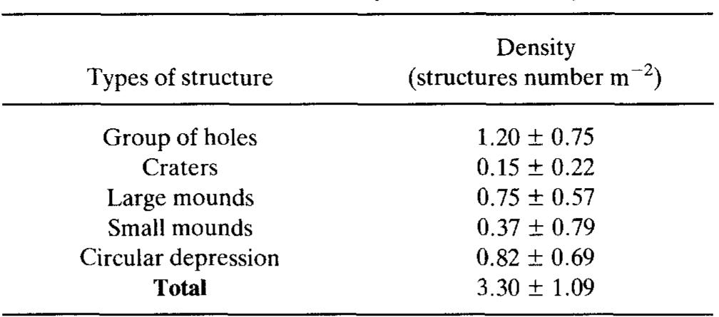 [able 2. Average density (average + fg ys S.E.) of biogenic structures counted at the sediment surface in Toulon Canyon  encountered are very small except the Crustacean, identified as Calocaris macandreae which was larger than the others. 