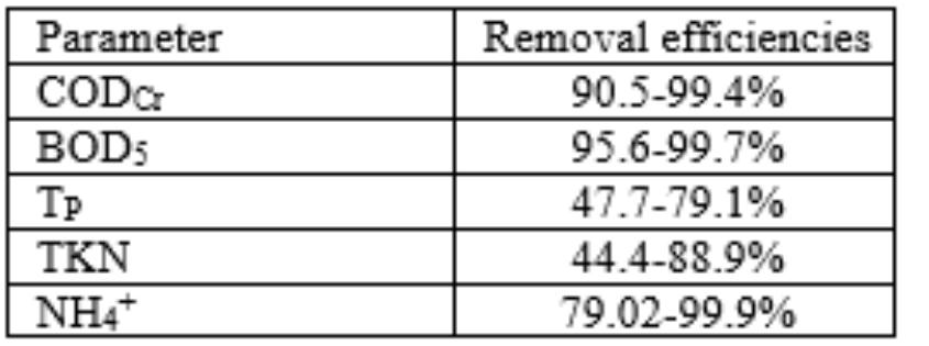 TREATMENT PERFORMANCES  - Si- inert soluble 0.940CODeff, where CODeff— COD of the influent, filtrated using 0.45Um membrane filter; 