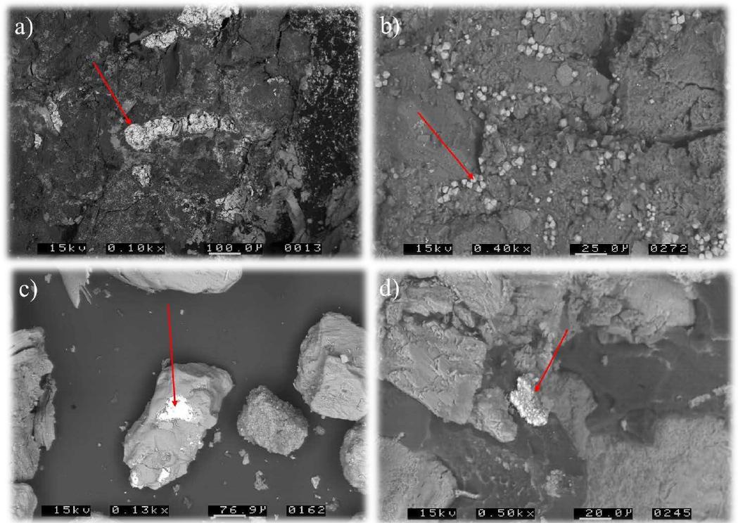 Figure 4:(a) Backscattered SEM image showing framboidal pyrite associated with the Afowo Formation, Dahomey Basin, Nigeria (b)Backscattered SEM image showing framboidal pyrite (red arrows) associated with the Valhall Formation (Captain Sand), Western Moray Firth Basin UK. (c & d) Backscattered SEM images showing framboidal pyrite (red arrows) associated with the Wealden Group Wessex Basin, UK.  Figure 5: Backscattered SEM images of euhedral pyrite (a) Huitrin Formation, Neuquén Basin, Argentina (b) Burgan Formation, Arabian Basin, Kuwait (c) Mannville Formation, Western Canada Sedimentary Basin and (d) Tugulu Group, Junggar Basin, China. 