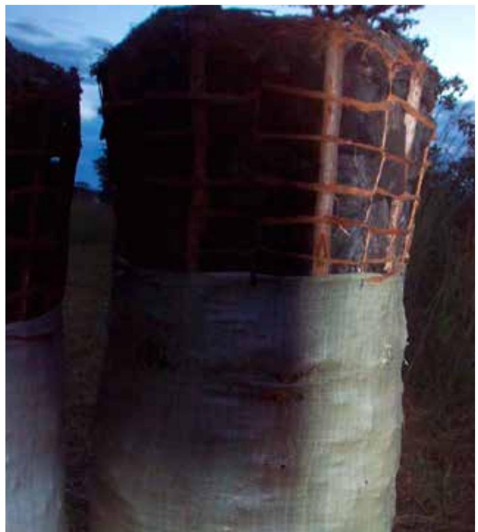 Figure 5. A typical 50 kg bag of charcoal  J.Léon, which is used in Southern province and some parts of Eastern province. Charcoal producers in Kamukuwe village in Chief Mushabva’s area thought that Piliostigma thonningii Milne-Redh would produce heavier charcoal than the average miombo tree species. The ‘head’ of the charcoal, and the manner in which it is constructed and secured, is a form of value added. In some cases, supports with webbing made from bark fibre and stems of Grewia monticola Sond. are used, while  