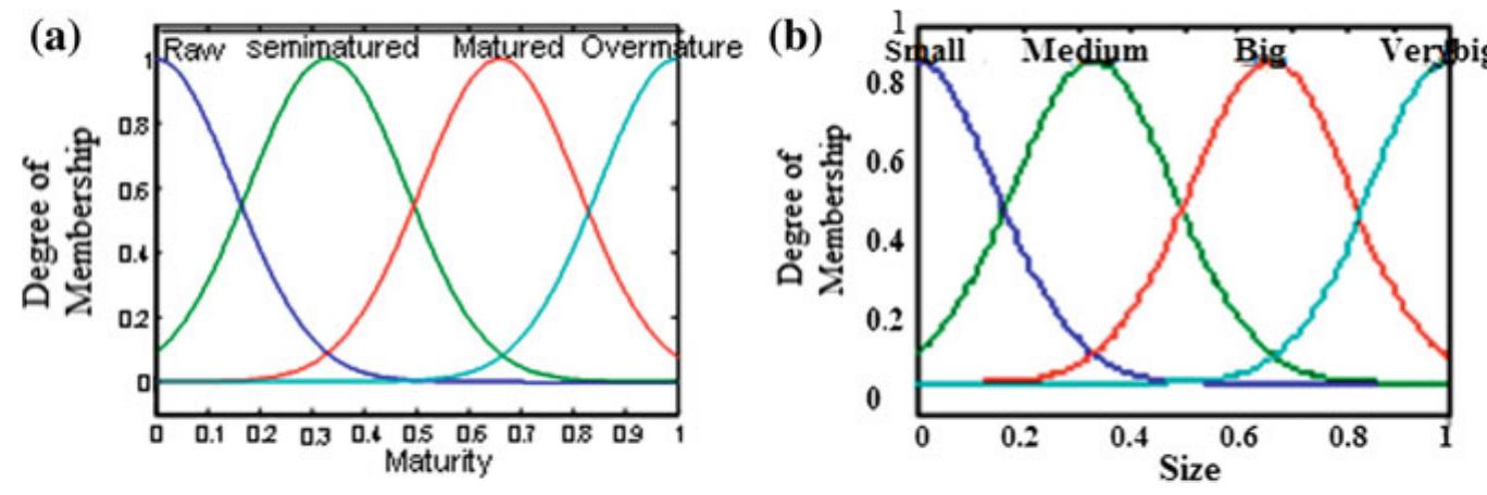 Fig. 11 Input membership functions representing maturity level (a) and size (b) 