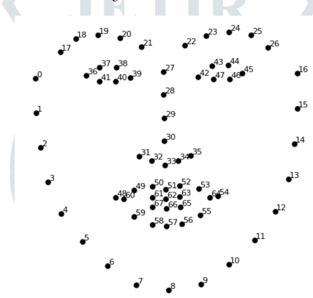 Figure 5.4: All 68 Facial landmark’s coordinates 