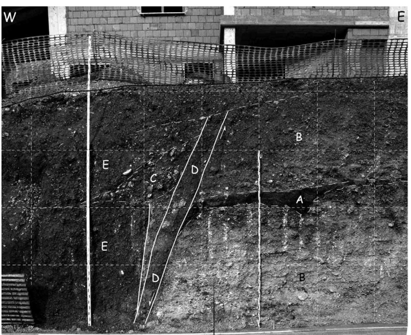 Fig. 11. View looking north of one of the excavations across the urban sector of the Norcia fault (note the house behind; grid 1 m). The dark paleosol (A) interbedded in the alluvial fan gravel (B) has been dated ~ 25 kyr BP. Colluvia in the hanging wall are of late Holocene—18th century AD. Note the colluvial wedge (C) made up of the coarse gravels fallen down from B, which has been faulted by a later event (i.e., the 1703 earthquake). D is the fault zone (photo by P.G.; unpublished data). 