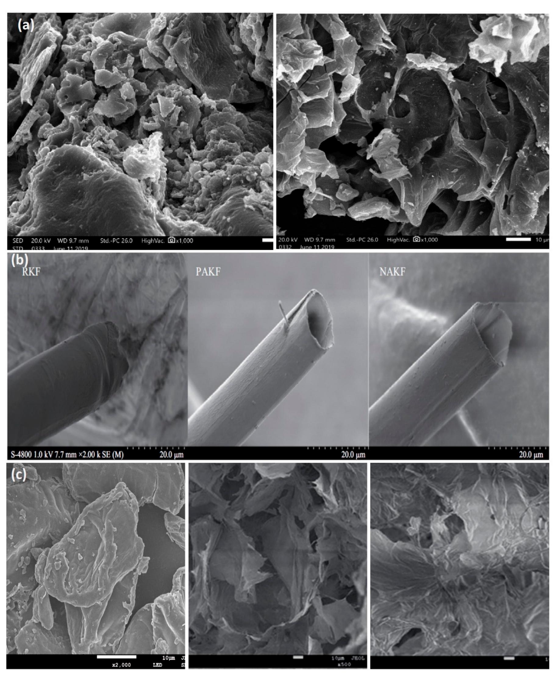 Figure 5. SEM images of (a) raw orange peel (OP) and orange peel thermally modified (TMOP) at 500 °C (adapted from [34] with permission from Elsevier), (b) of raw kapok fiber (RKF), pyridine-catalyzed kapok fiber (PAKF), and NBS-catalyzed kapok fiber (NAKF) (adapted from [82] with permission from Elsevier), (c) raw pomelo peel, pomelo sponge aerogels (PSA), and hydrophobic sponge aerogels (HPSA) with MTMS (adapted from [86] with permission from RS). 