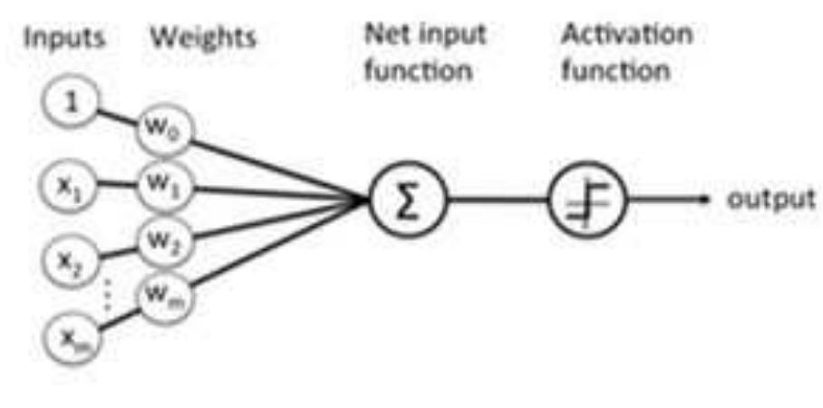 Figure 24. The perceptron.  Perceptrons (MLP) as shown in Figures 24 and 25. Each hidden layer uses the same activation functior 