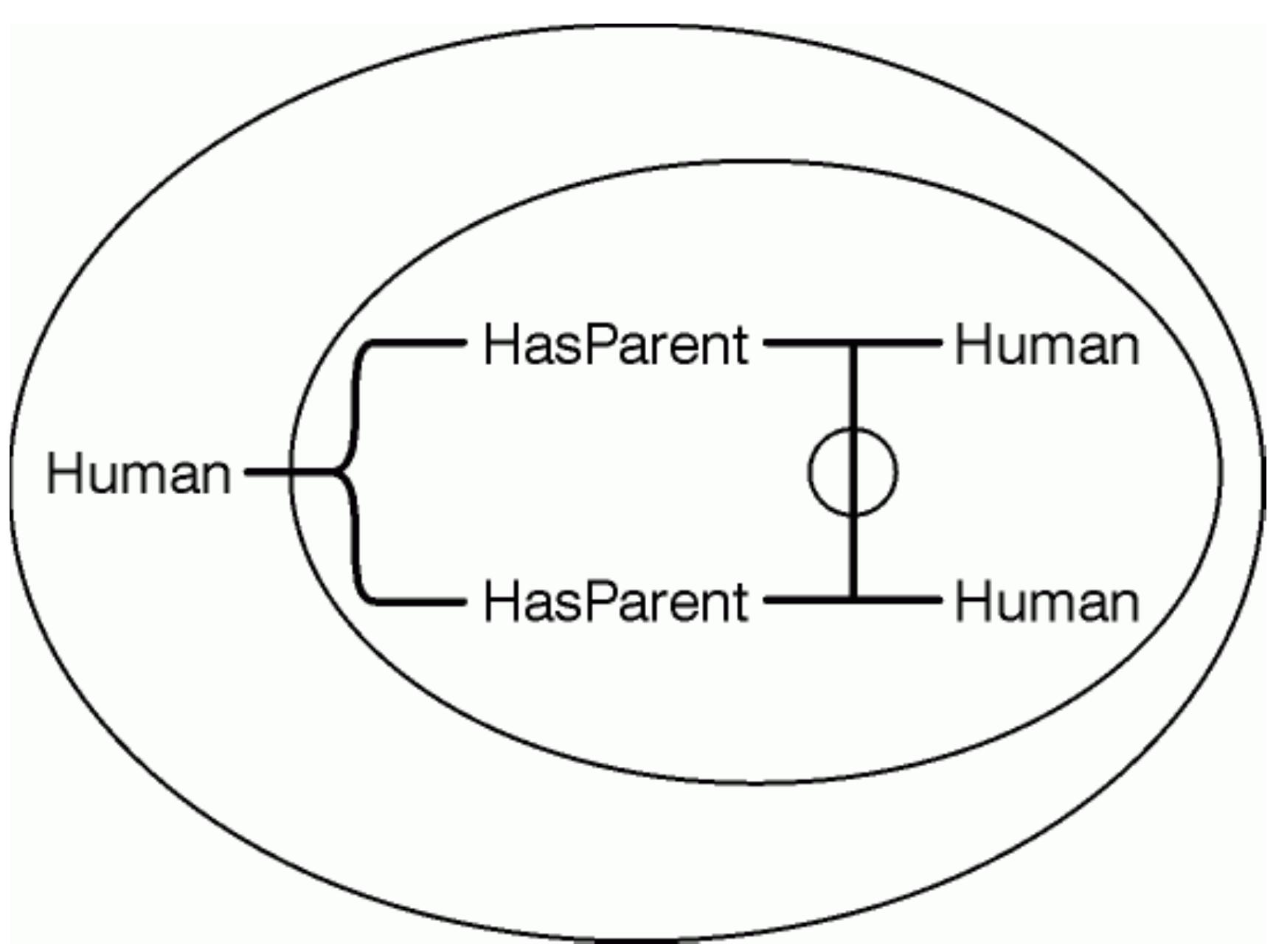 Figure 6. EG for Every human has two distinct human parents.  As Table 2 illustrates, a pair of negations can represent either a universal quantifier or an implication. The EG in Figure 6 may be read in either way. If the two ovals are considered an implication, Figure 6 could be read /f there exists a human, then that human has a parent who is human and another parent who is human and the two parents are distinct. Another option is to read an existential quantifier nested between two ovals as the universal quantifier V, which is expressed by the English word every. Then Figure 6 could be read Every human has a parent who is human and another parent who is human and the two parents are distinct. By using the defined operators of Table 2, the formula could be rewritten in a form that shows the universal quantifier V and the implication D explicitly:   Ontology, Metadata, and Semiotics 