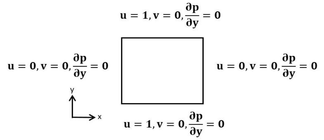 FIGURE 1. Computation domain and boundary condition.  The computational domain is a square box of fluid, with the configuration and its boundary conditions expressed by the equation for the left-right side wall u = v = 0 and the top-bottom wall u= 1, v=0 