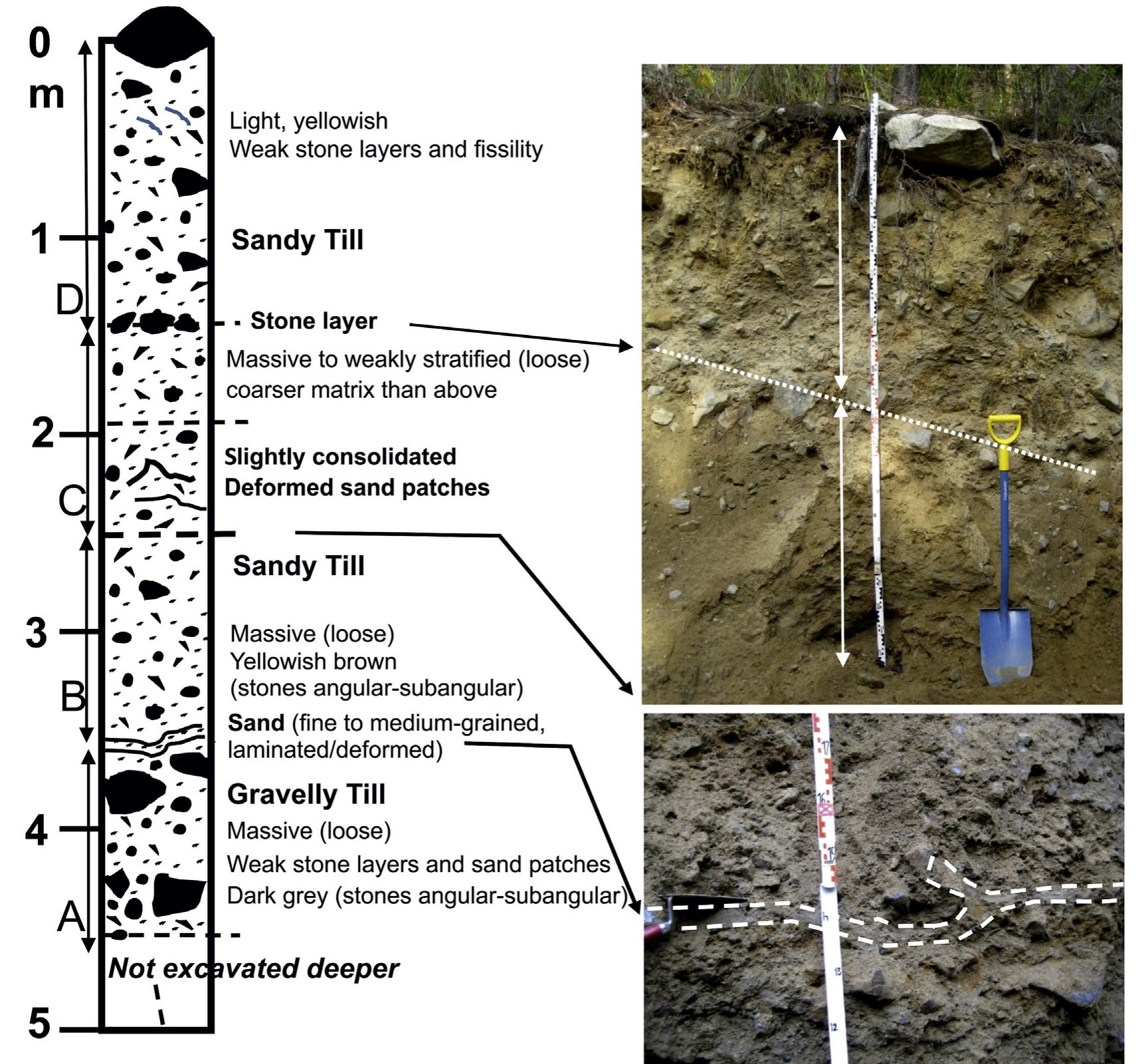 Fig. 13. Sedimentological log from the Harjakangas S site. The site located down-ice from a fan-shaped hollow. Note the intervening sand layer between till beds A and B (lower photo). The upper photo shows the two slightly different till beds (C and D) in upper part of the log. 