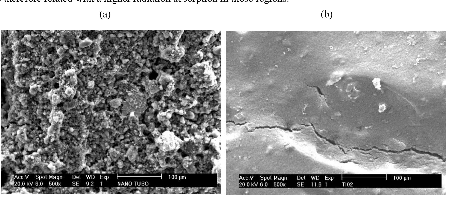 Figure 8: Surface SEM micrographs of the layers: (a) NaTiNT sample; (b) TiO, sample. 