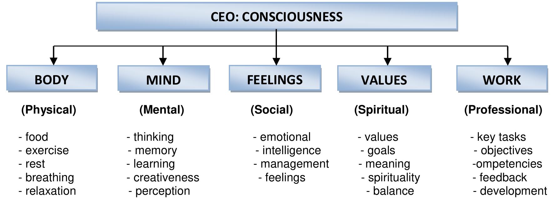 Figure 2.2. The Self Ltd Model (Adopted from Sydanmaanlakka, 2004, p. 2) 