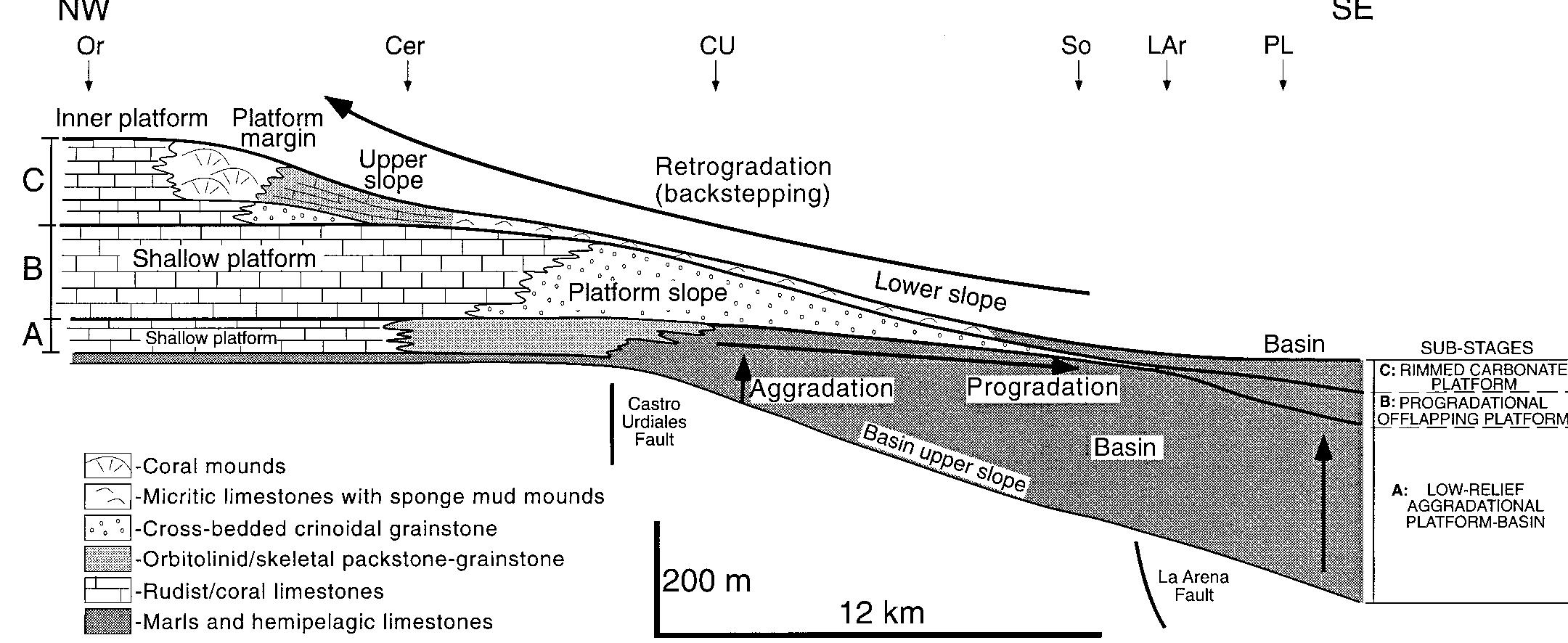 Fic. 7.— Restored shallow to deeper-water stratigraphic cross section of the earliest Albian carbonate stage P3 in the Castro Urdiales platform showing depositional relationships between the three platform substages (A, B, and C). During this stage platform geometries changed from low-relief aggradational platform (A) to distally steepened, progradational offlapping platform (B) and finally to backstepped rimmed platform (C). Locations of measured sections are shown in Figure 2. The basal datum is the argillaceous carbonates and marls of the underlying incipient drowning stage (D2), which approximates an isochronous horizon. 