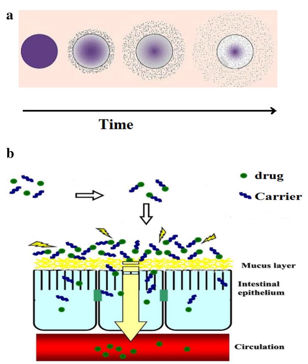 Fig.10 a Drug release by time. b Mechanism of drug entrance to blood circulation  endosomes, and degrade in the lysosome; the therapeutic agent diffuses into the cytoplasm and transfers to target organelle as shown in Fig. 11 (Faraji and Wipf 2009).  Conclusions 