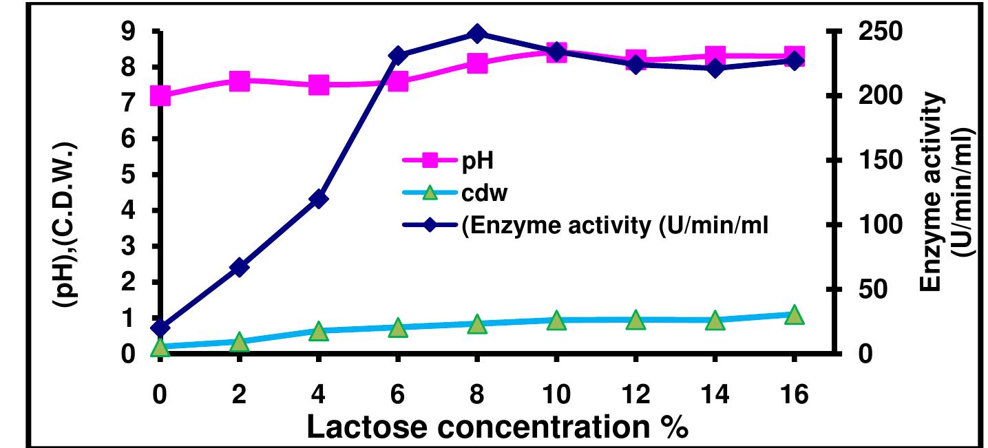 Fig. 2: Effect of different lactose concentrations on B-galactosidase production. 